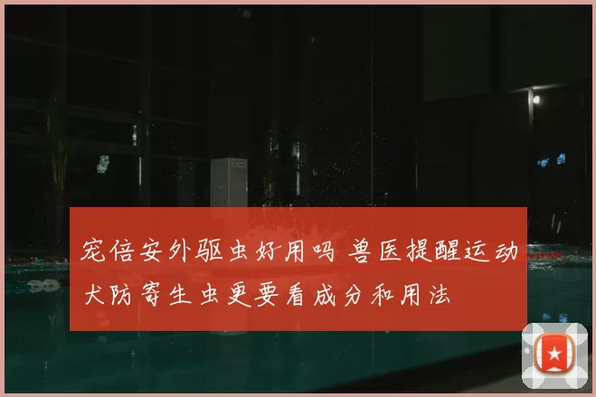 宠倍安外驱虫好用吗 兽医提醒运动犬防寄生虫更要看成分和用法