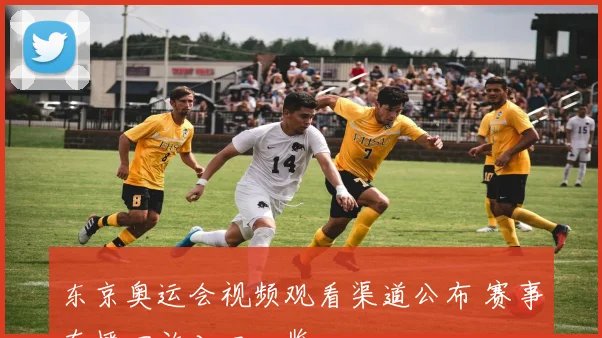 东京奥运会视频观看渠道公布 赛事直播回放入口一览