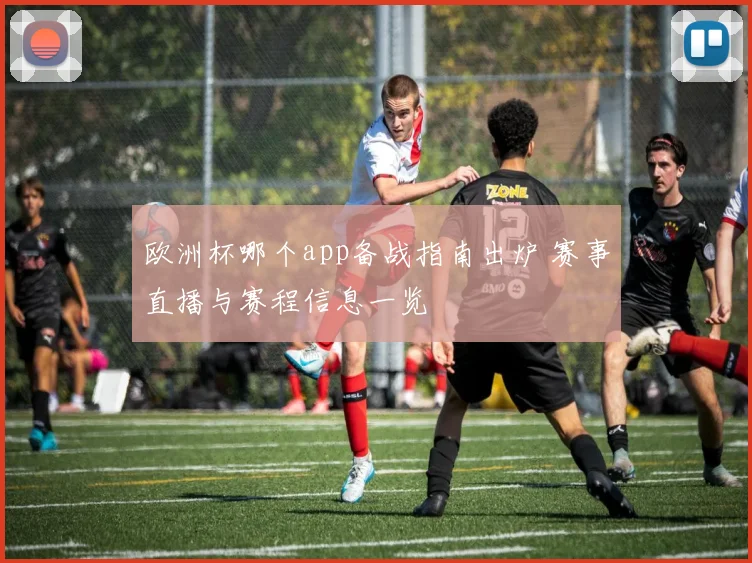 欧洲杯哪个app备战指南出炉 赛事直播与赛程信息一览