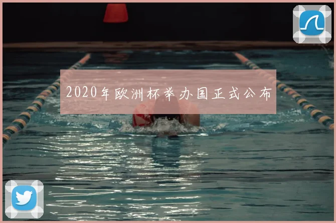 2020年欧洲杯举办国正式公布