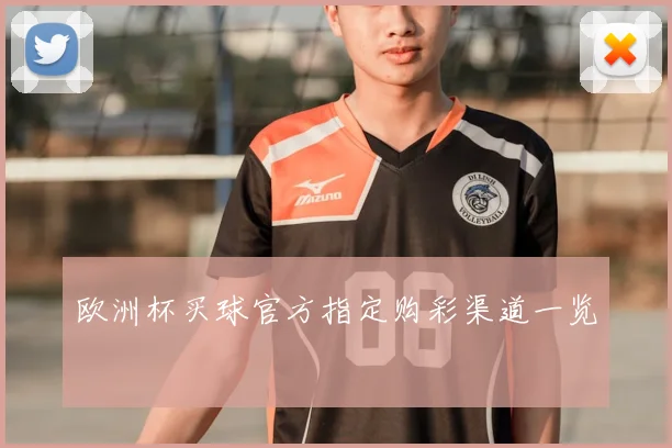 欧洲杯买球官方指定购彩渠道一览