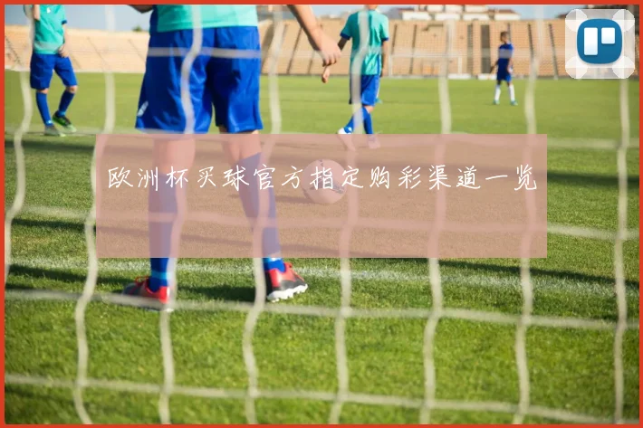 欧洲杯买球官方指定购彩渠道一览
