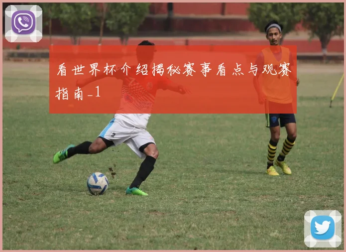 看世界杯介绍揭秘赛事看点与观赛指南_1