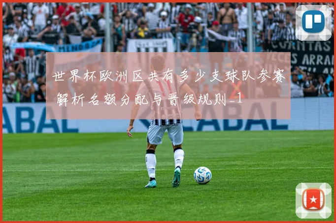 世界杯欧洲区共有多少支球队参赛 解析名额分配与晋级规则_1