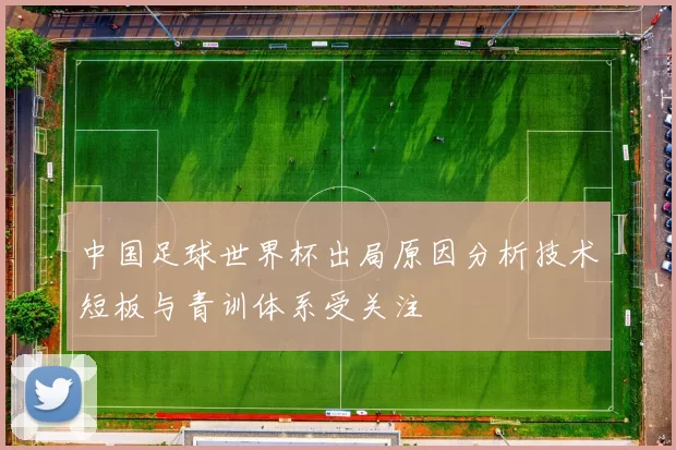 中国足球世界杯出局原因分析技术短板与青训体系受关注