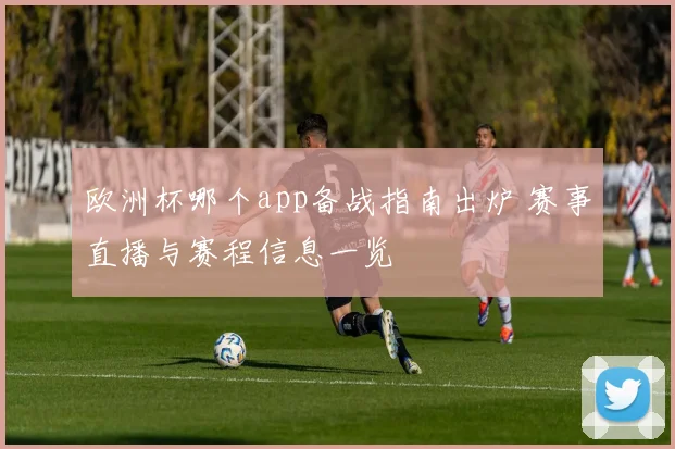 欧洲杯哪个app备战指南出炉 赛事直播与赛程信息一览