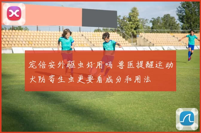 宠倍安外驱虫好用吗 兽医提醒运动犬防寄生虫更要看成分和用法