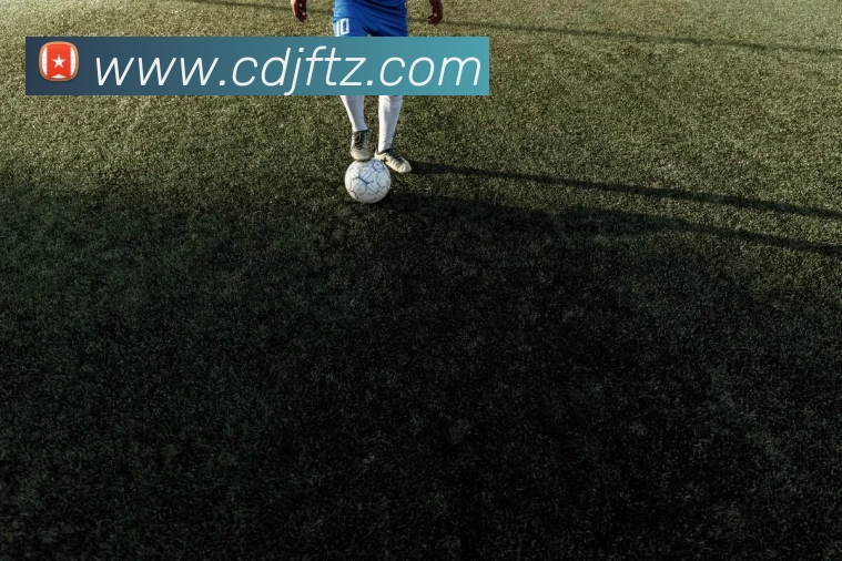 泛亚体育 - 泛亚(中国)一站式服务官方网站发展历程